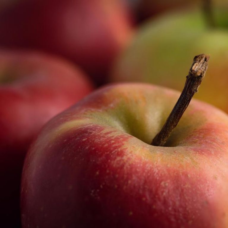 apple-cider-vinegar-6356cc957e9c4d33912e542a5352f55f
