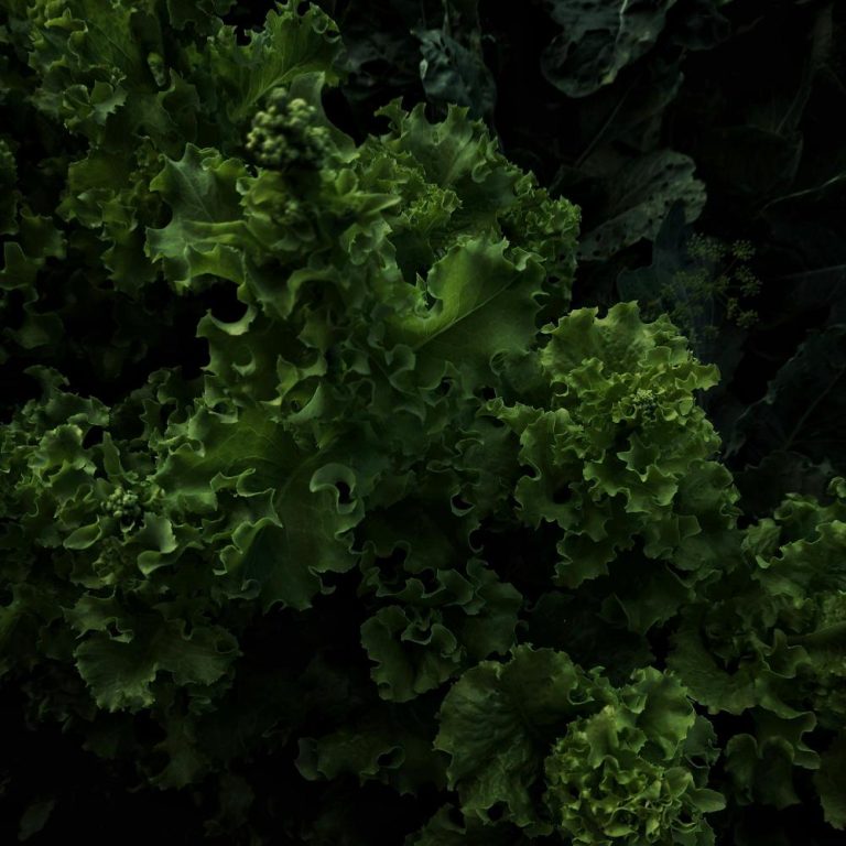 fresh-produce-d0129f0e33524895a789dca5fd6631d5