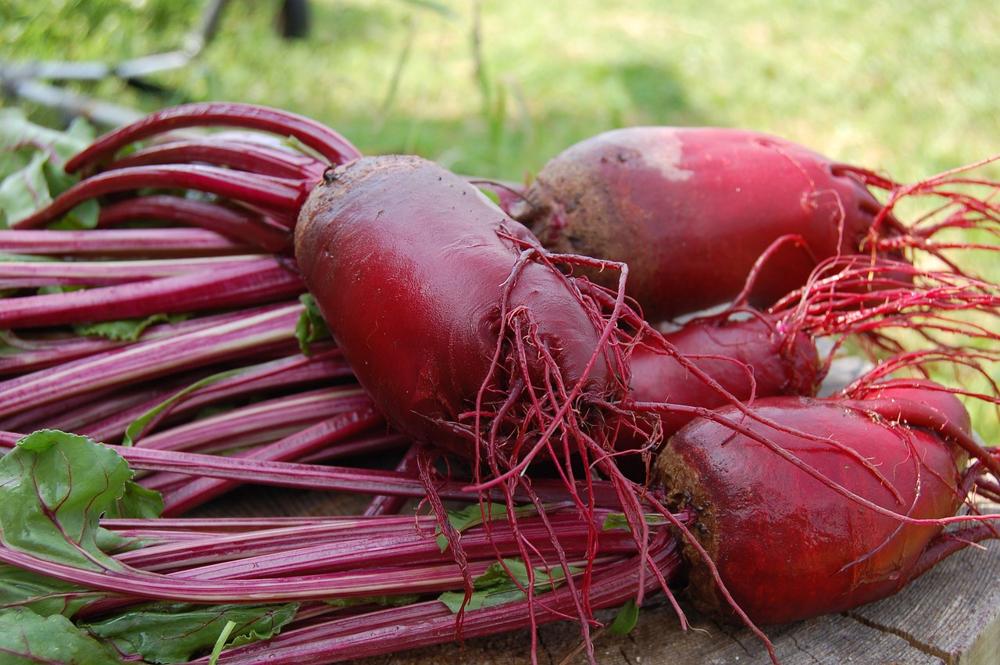 sautéed beets